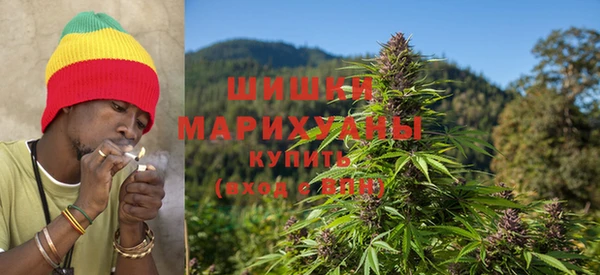 ГАЛЛЮЦИНОГЕННЫЕ ГРИБЫ Алексеевка