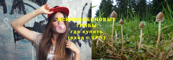 a pvp Россошь