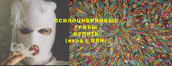 шишки Елабуга