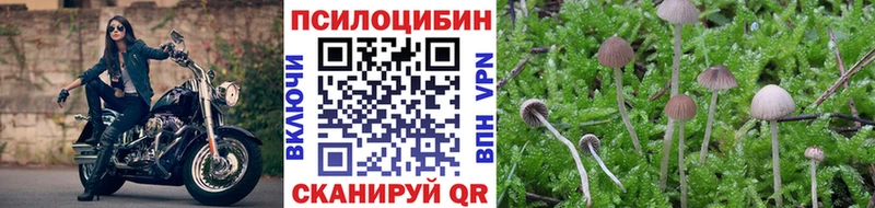 наркота  мориарти телеграм  Галлюциногенные грибы MAGIC MUSHROOMS  Нерчинск 